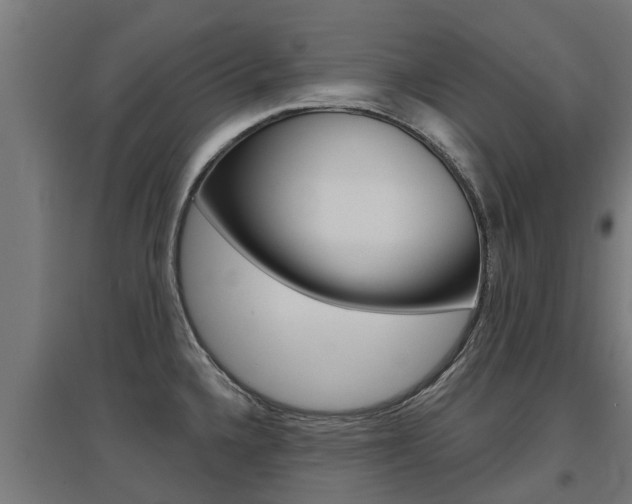 X0000097631336200802290835