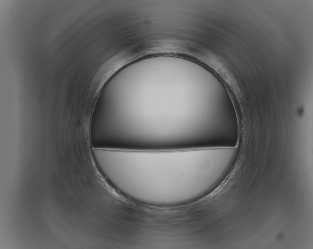 X0000097631337200802290835