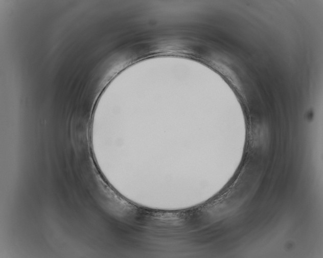 X0000097631338200802290835