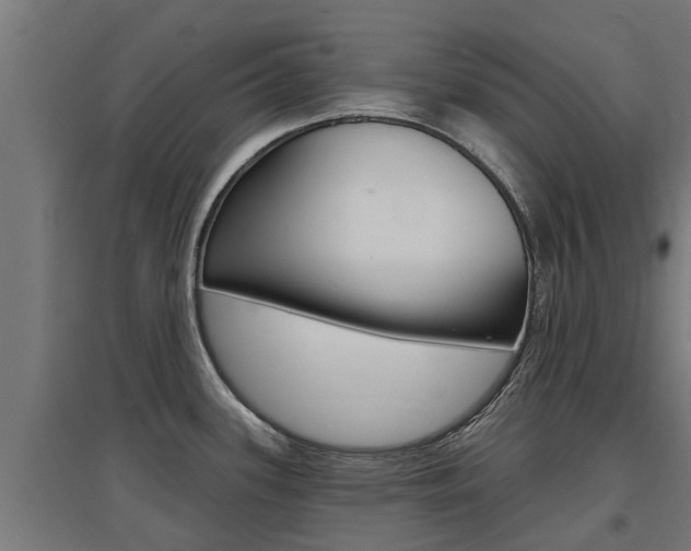 X0000097631339200802290835
