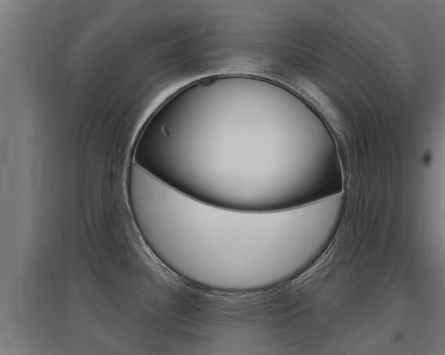 X0000097631340200802290835