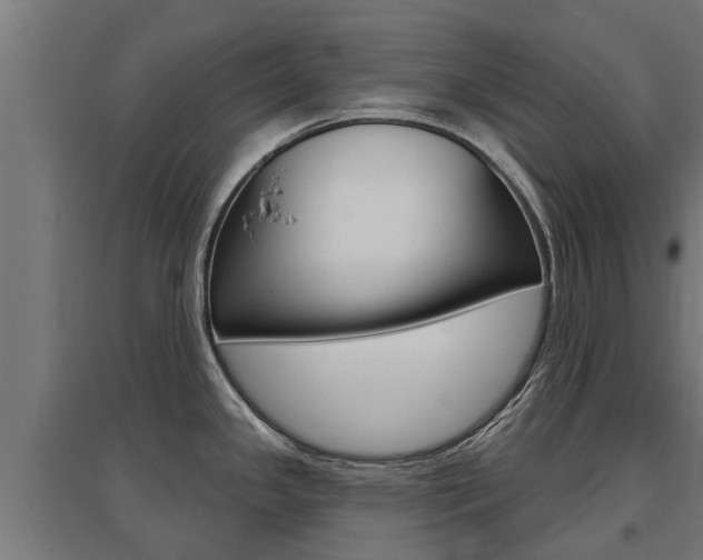 X0000097631341200802290835