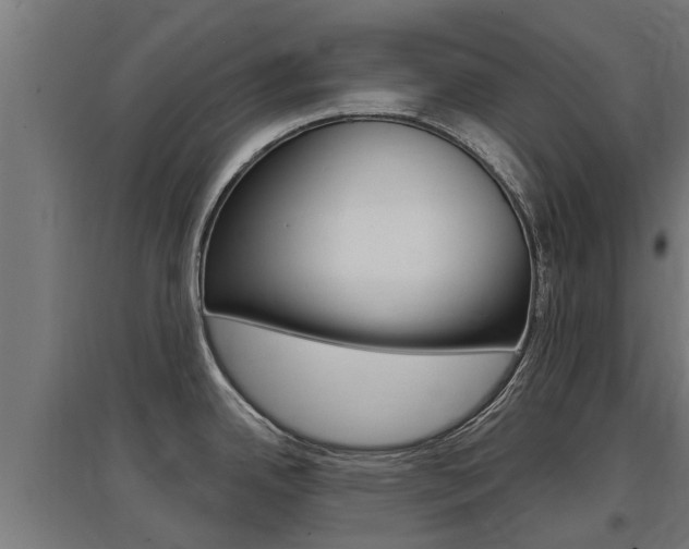X0000097631342200802290835