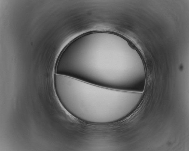 X0000097631343200802290835