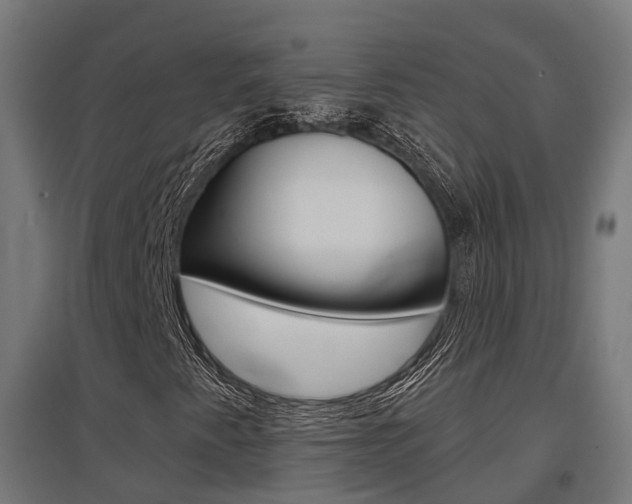X0000097631345200802290834