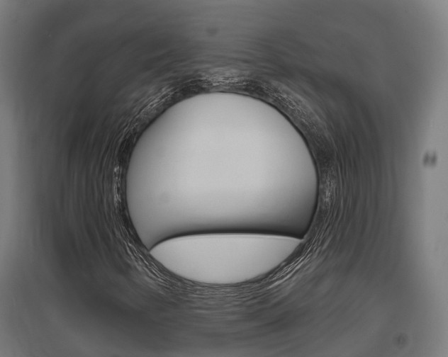 X0000097631346200802290834