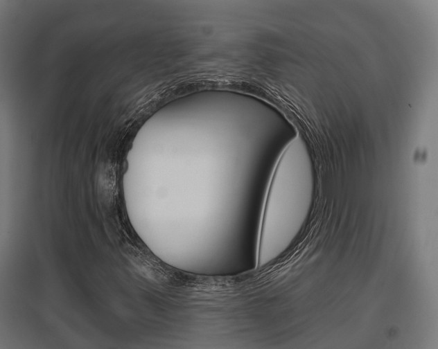 X0000097631347200802290834