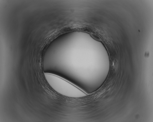 X0000097631348200802290834