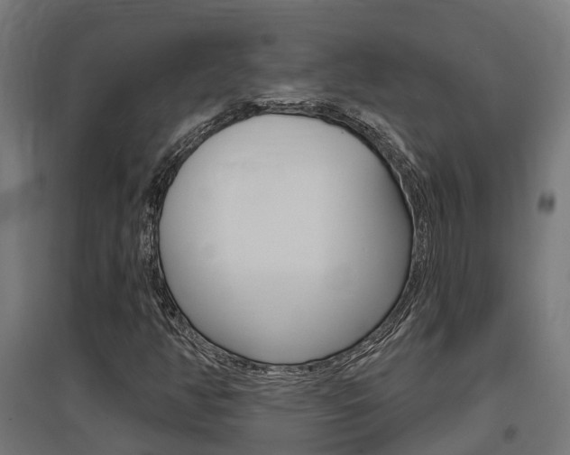 X0000097631350200802290834