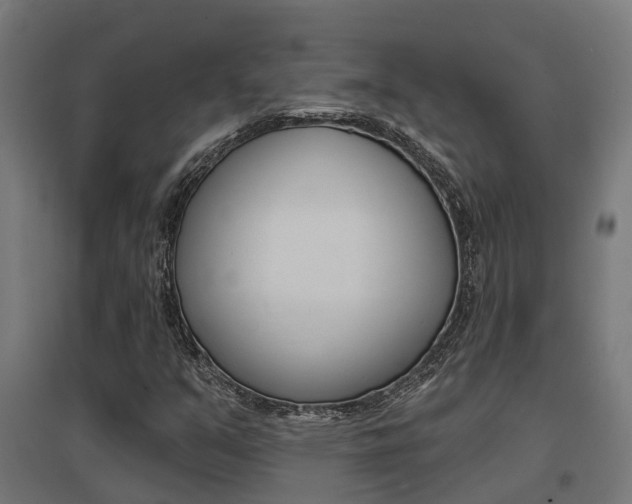 X0000097631351200802290834