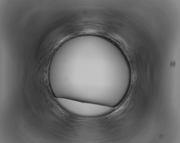 X0000097631353200802290834