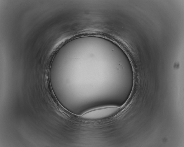 X0000097631355200802290834