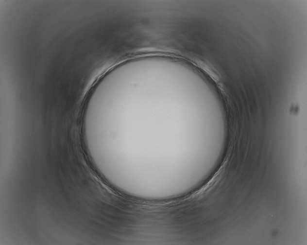 X0000097631357200802290834