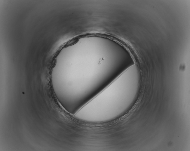 X0000097631359200802290834