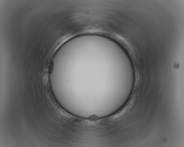 X0000097631361200802290834