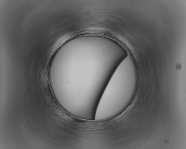 X0000097631362200802290834