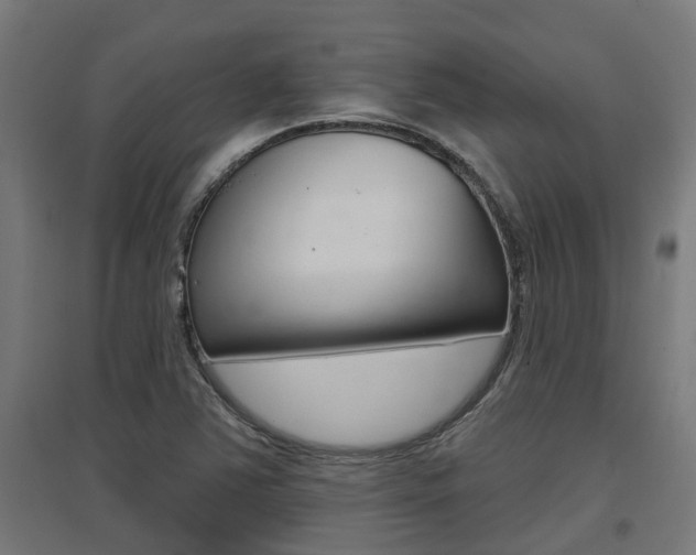 X0000097631363200802290834