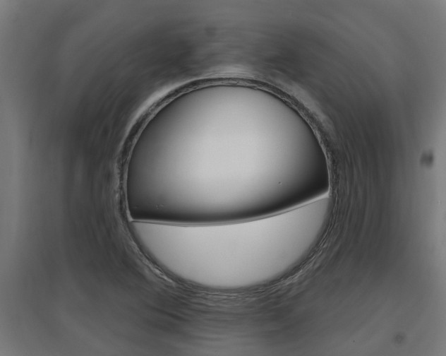 X0000097631364200802290834