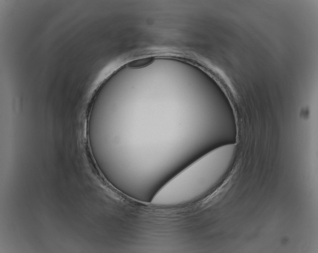 X0000097631365200802290834