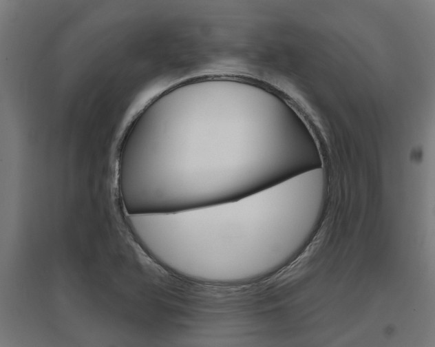 X0000097631366200802290834