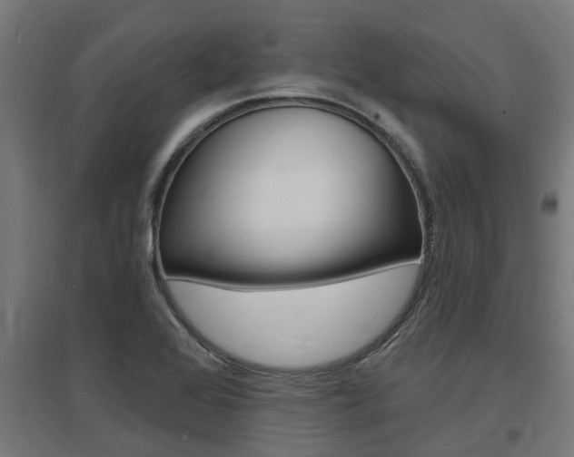X0000097631368200802290834
