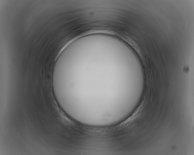 X0000097631369200802290834