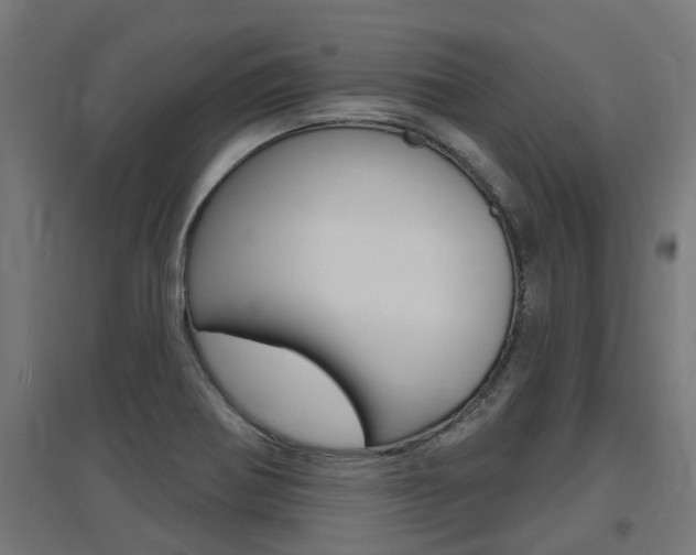 X0000097631370200802290834