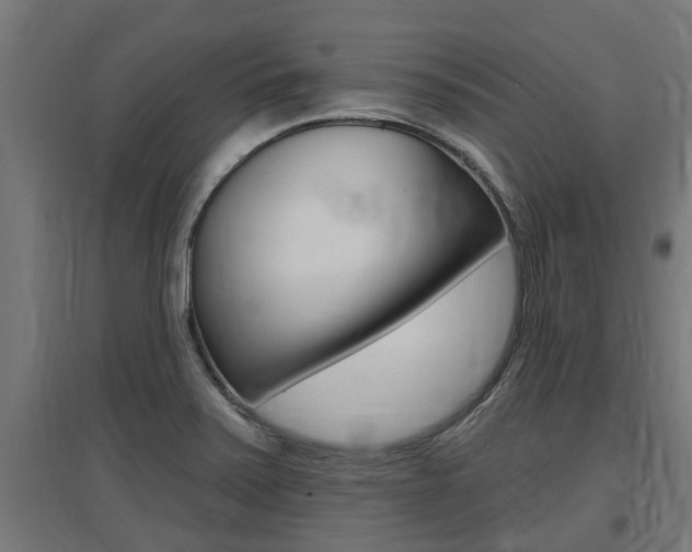 X0000097631371200802290834