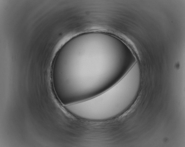 X0000097631373200802290833