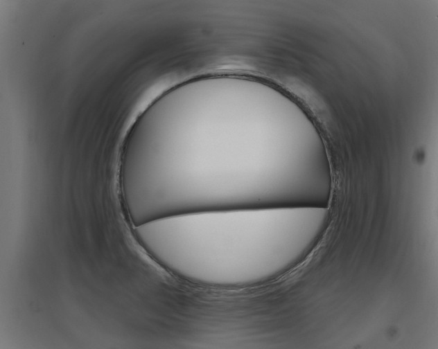 X0000097631374200802290833