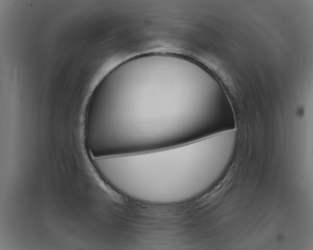 X0000097631375200802290833