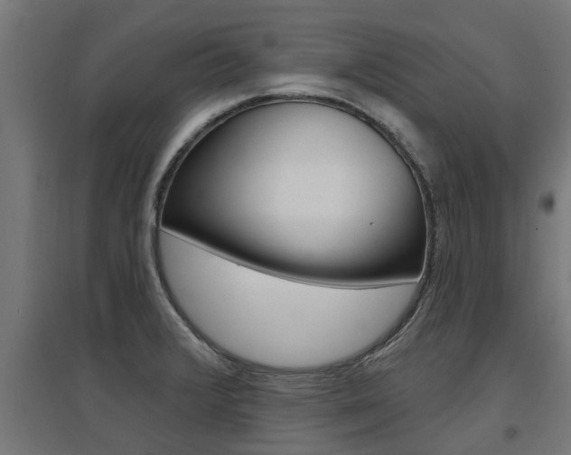 X0000097631376200802290833