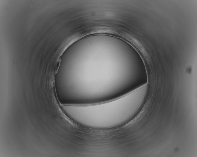 X0000097631377200802290833