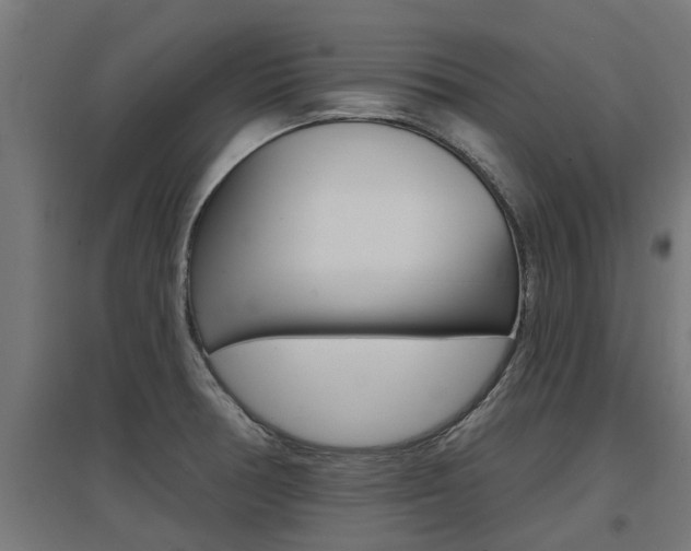 X0000097631378200802290833