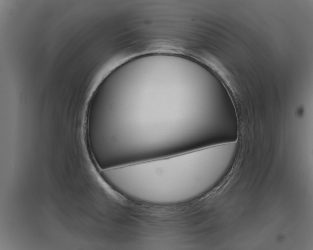 X0000097631379200802290833