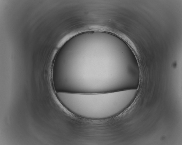 X0000097631381200802290833