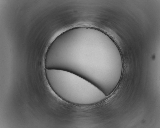 X0000097631382200802290833