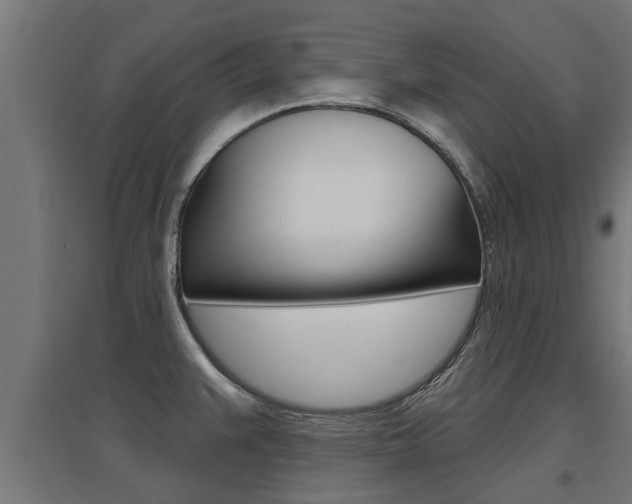 X0000097631383200802290833