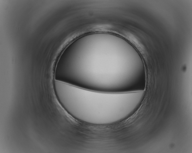 X0000097631384200802290833