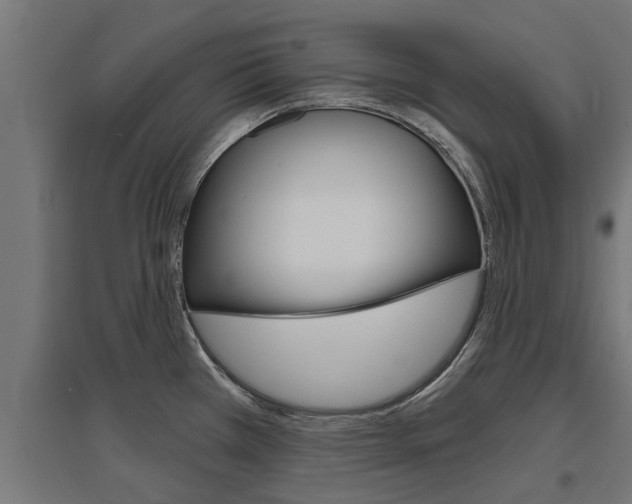 X0000097631385200802290833