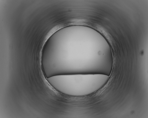 X0000097631386200802290833