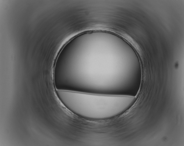 X0000097631388200802290833