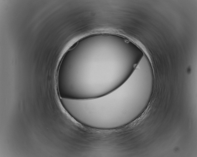 X0000097631389200802290833