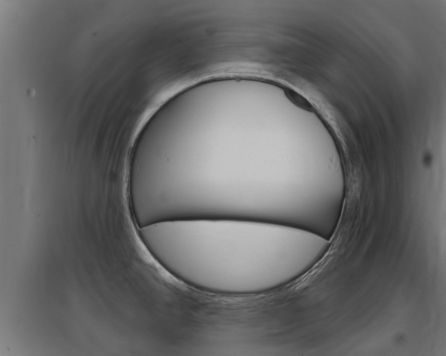 X0000097631390200802290833