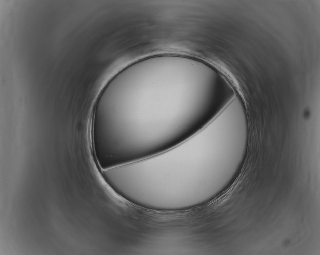 X0000097631391200802290833