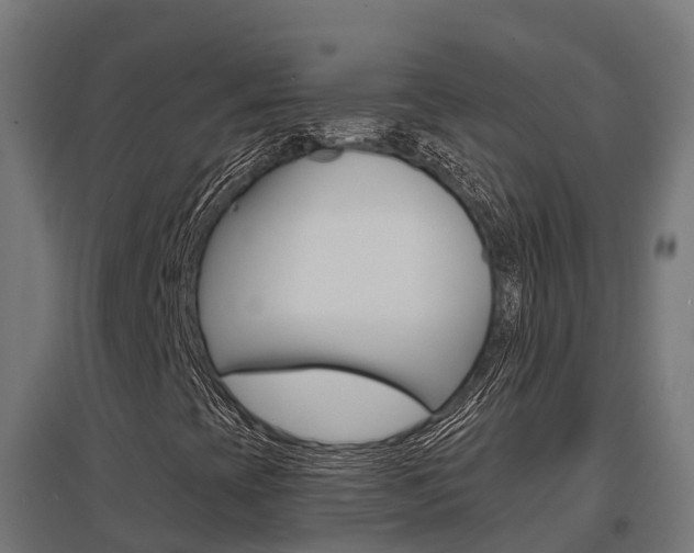 X0000097631393200802290833