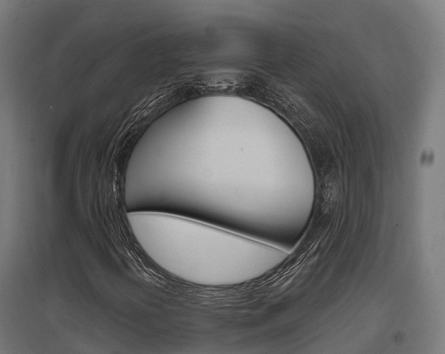 X0000097631394200802290833