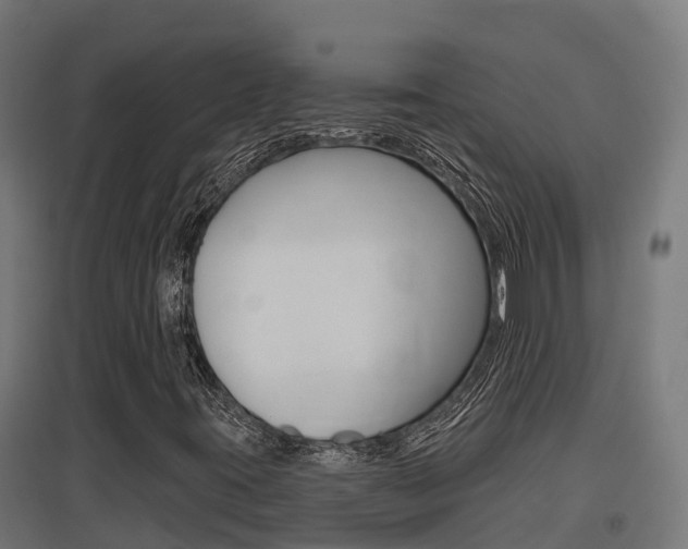 X0000097631395200802290833