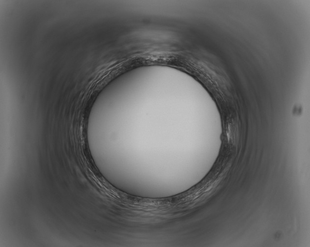 X0000097631396200802290833