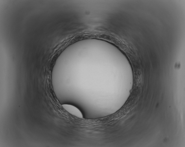 X0000097631397200802290833